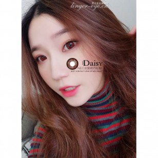 NEO Sunflower Hazel(N227)